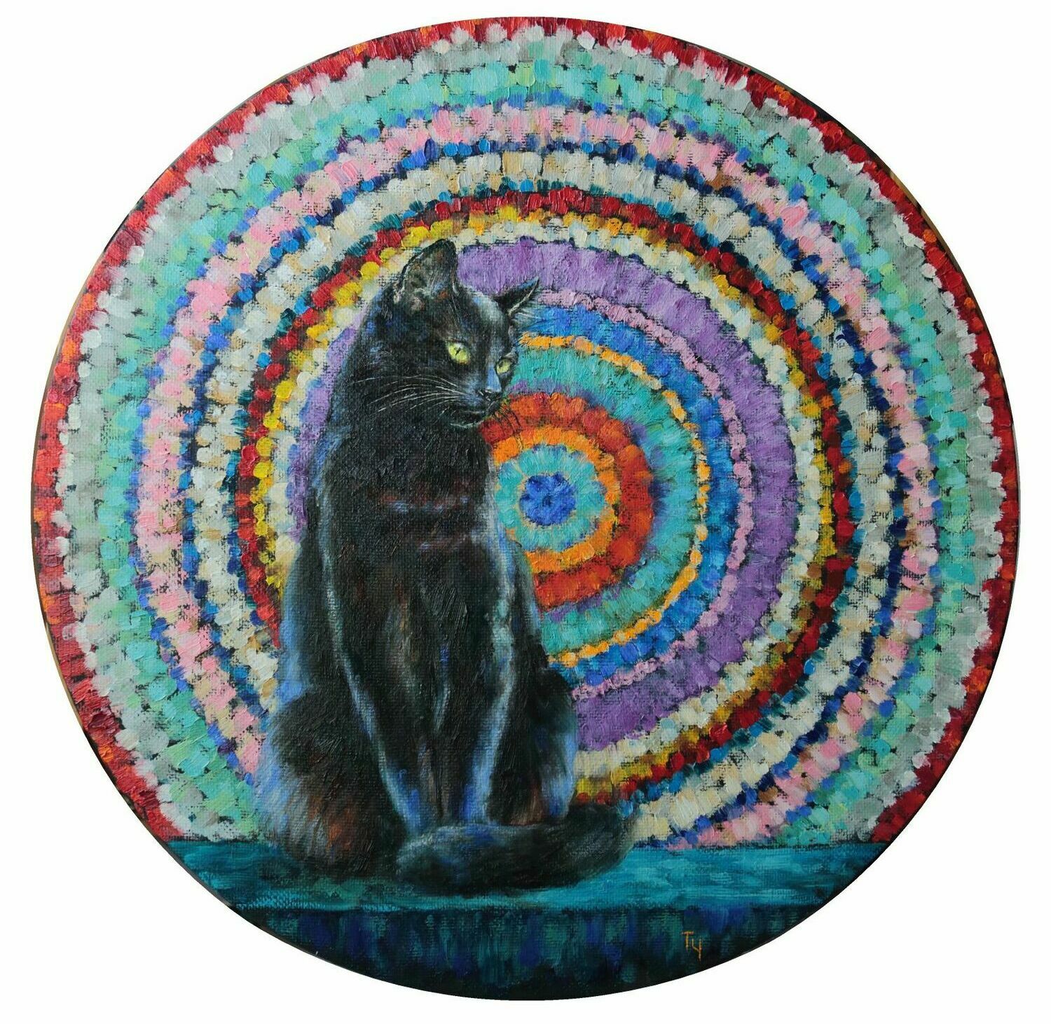 черная кошка, белый кот