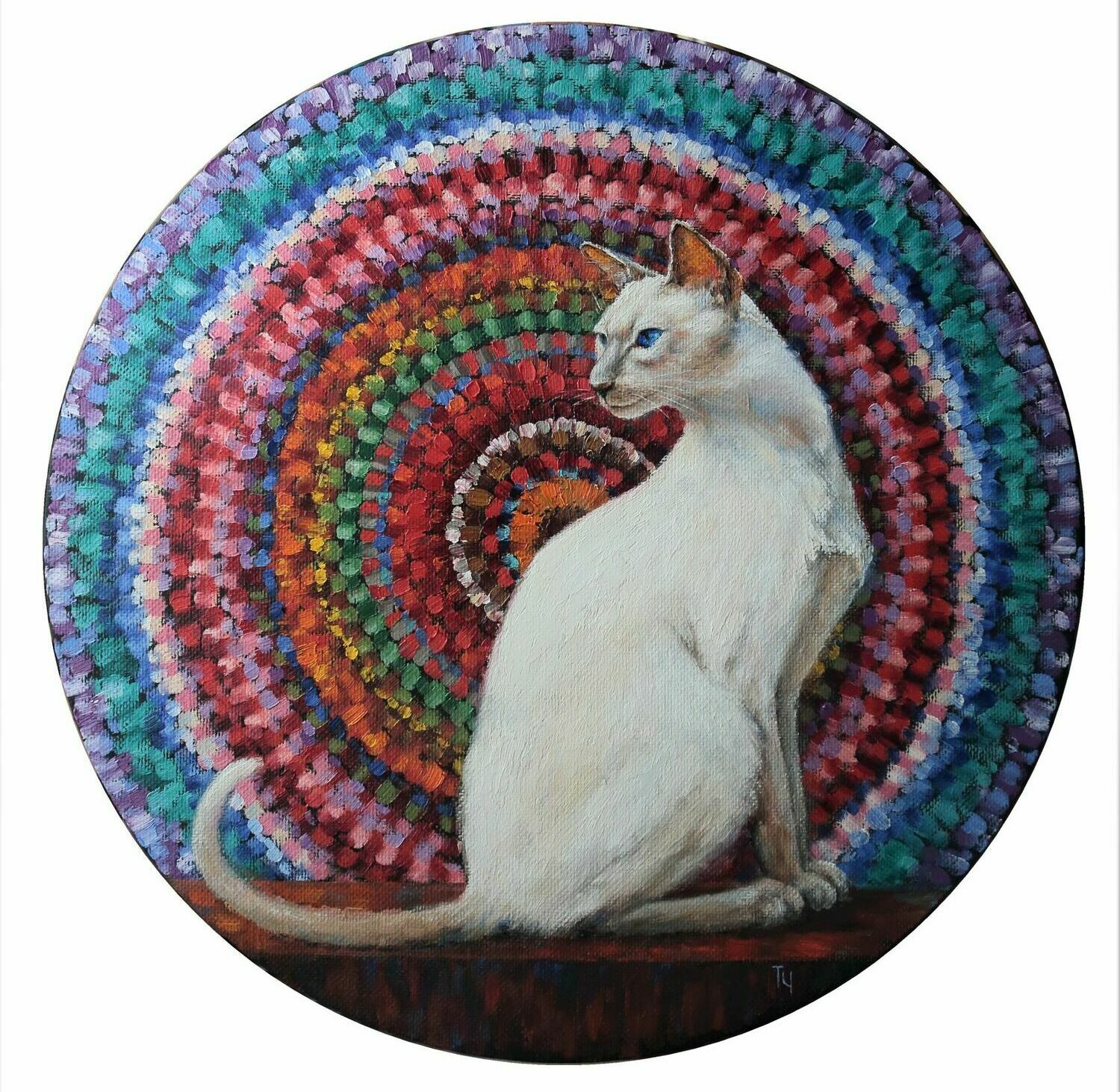 белый кот